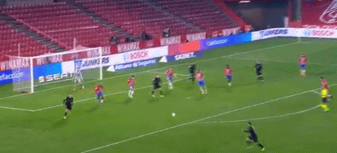 伦敦奥运马术冠军与爱驹双双安乐死，二十余年相伴征服世界赛场